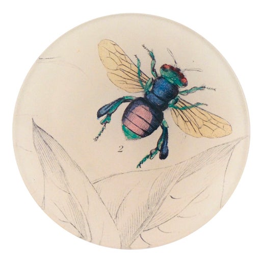 Bee 4" Round Plate