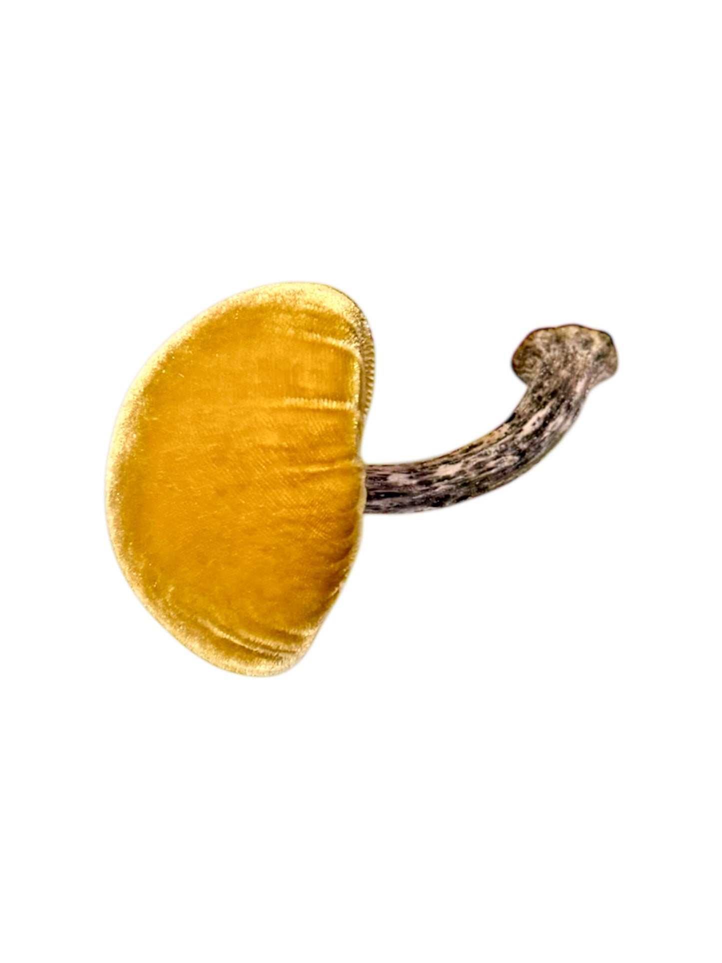 Velvet Mushroom in Yellow