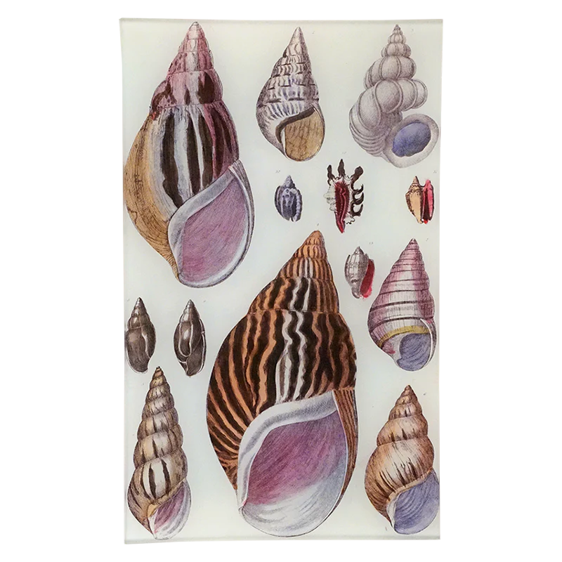 Agate Shells Tray
