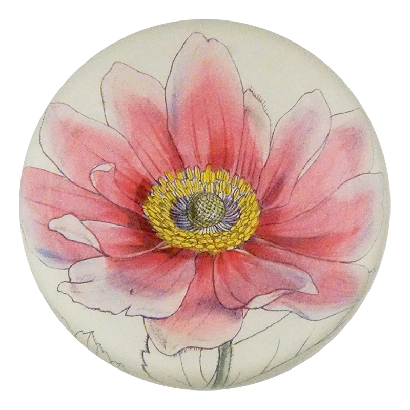 Anemone Japonica Dome Paperweight