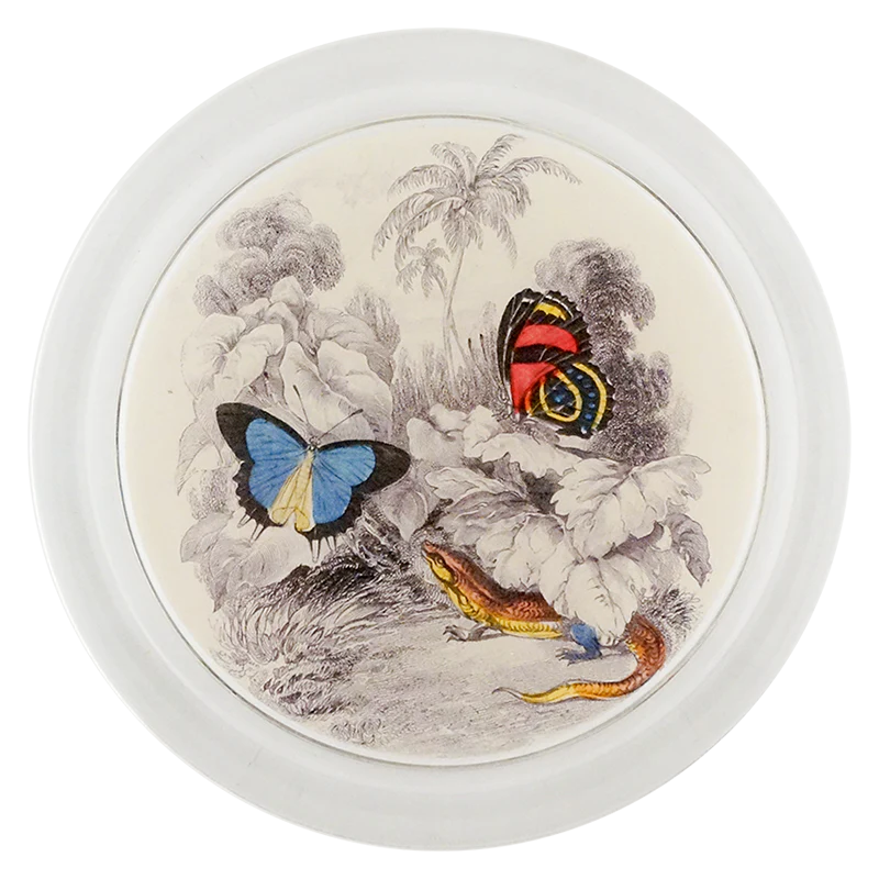 Butterflies with Red Lizard 6" Coaster
