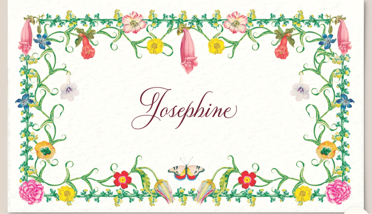 Casa Felix Floretta Place Cards S/10 3x5