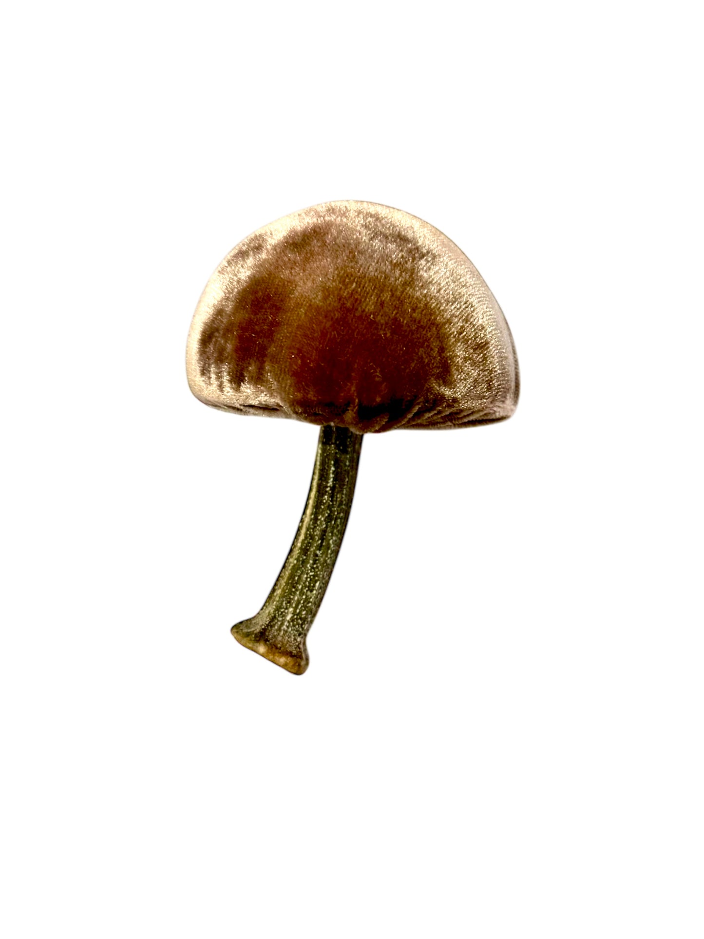 Velvet Mushroom in Light Brown