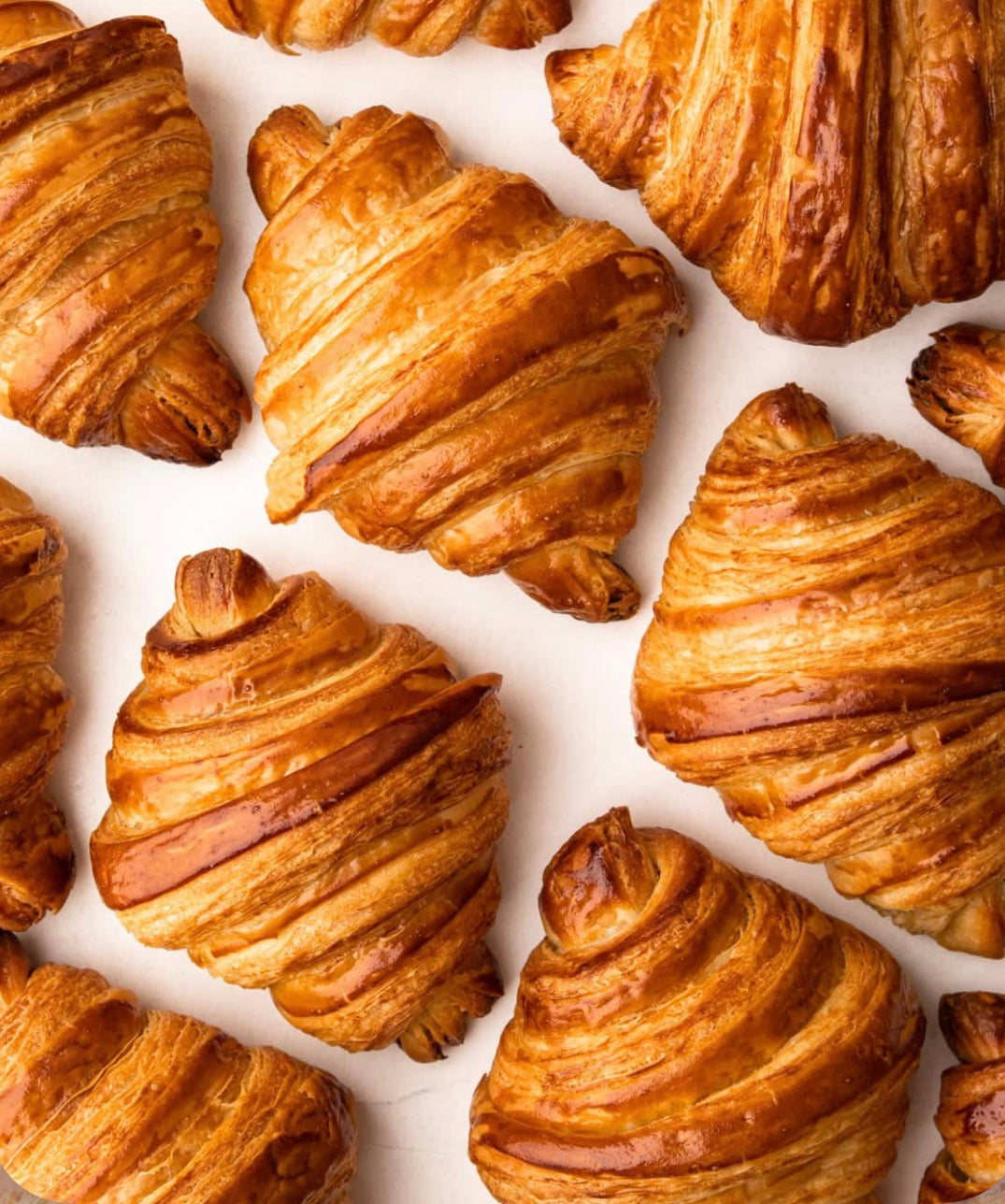Plain Croissants