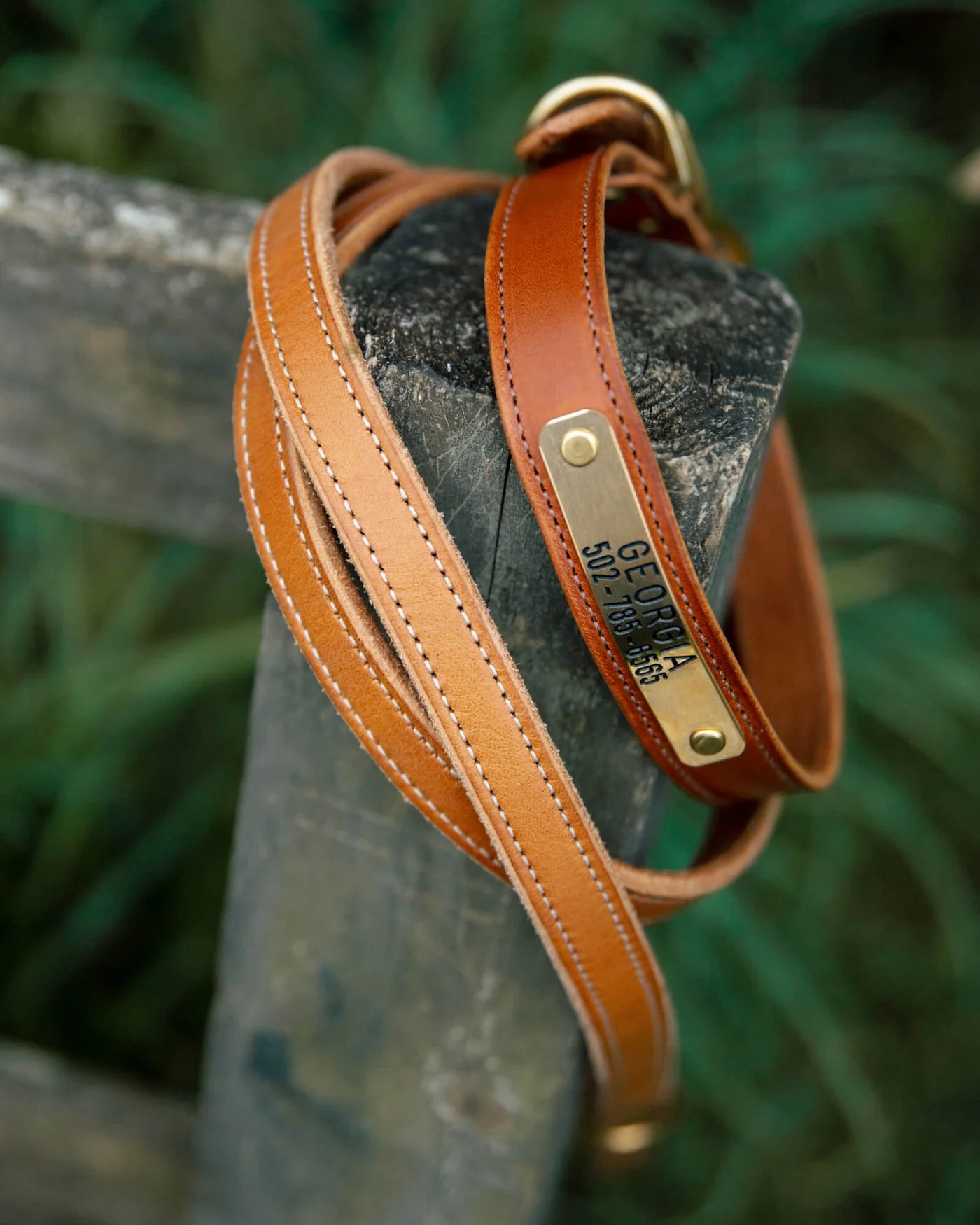 Nameplate Dog Collar