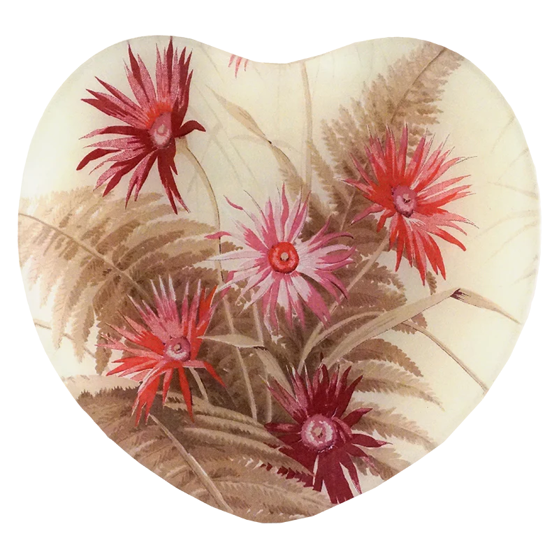 Dianthus Heart 8”