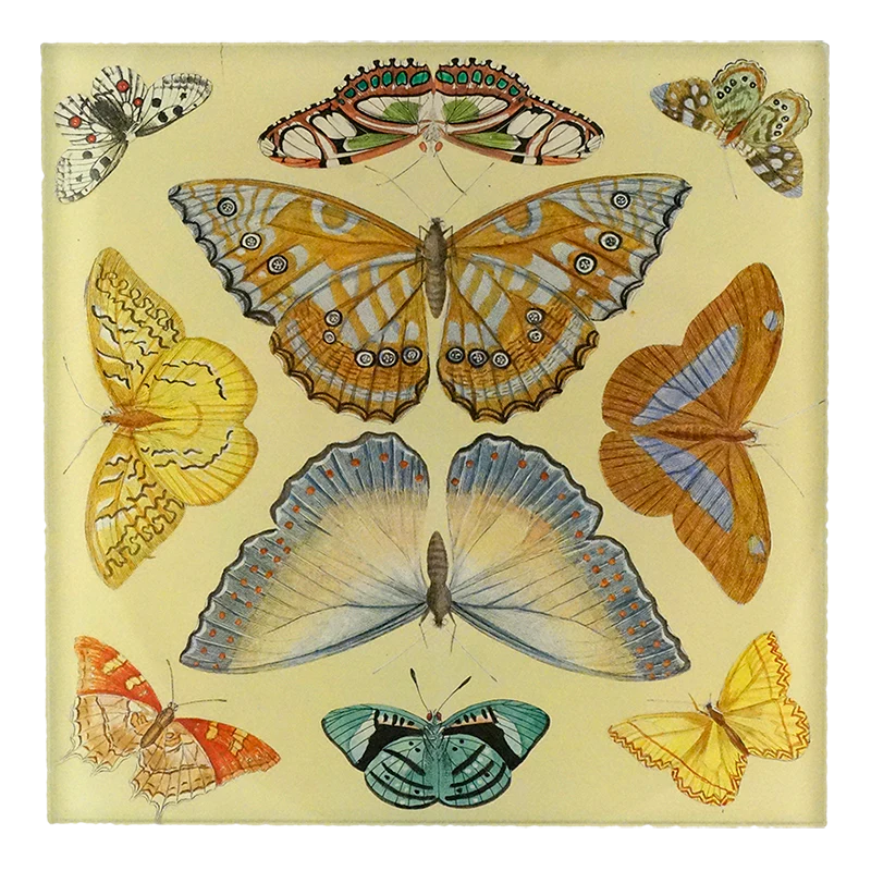 Butterfly Collection Spoon Rest