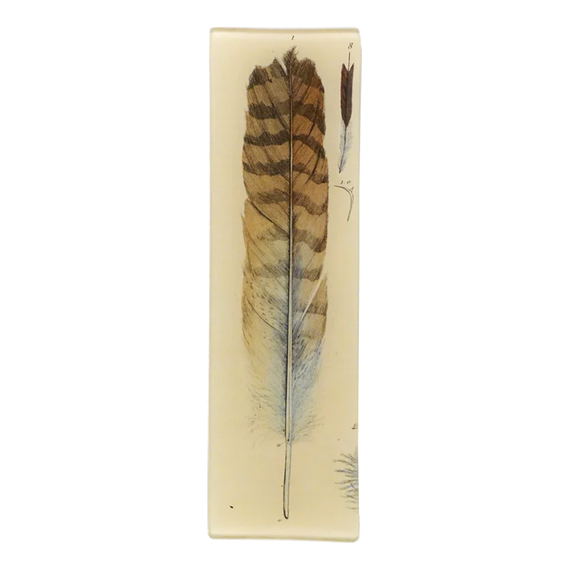 Feather Tray
