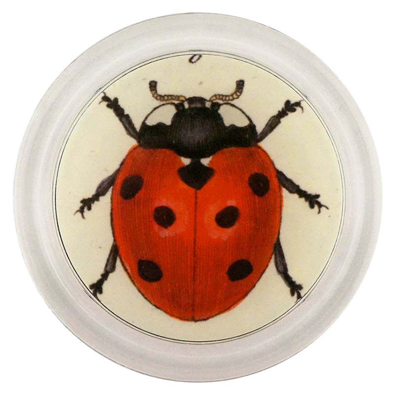 Red Ladybug 6” Coaster