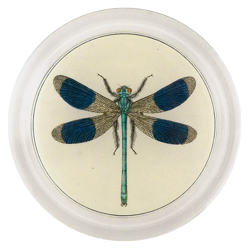 Dragonfly 6” Coaster