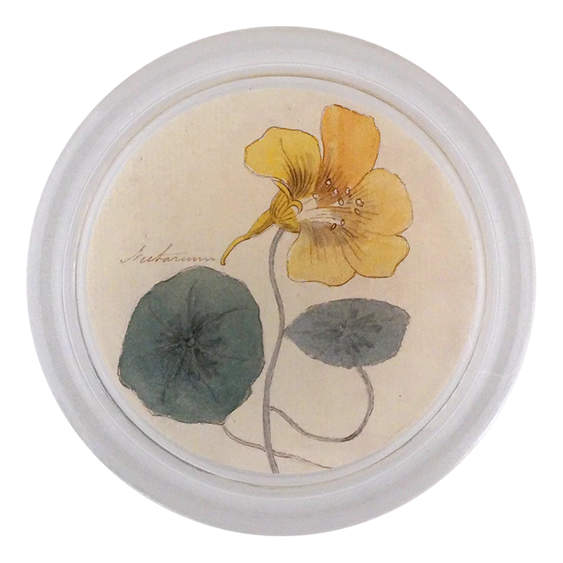 Nasturtium 4” Coaster