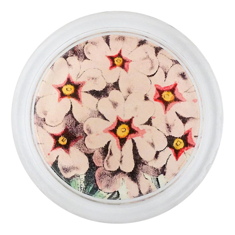 Pink Primula 4” Coaster
