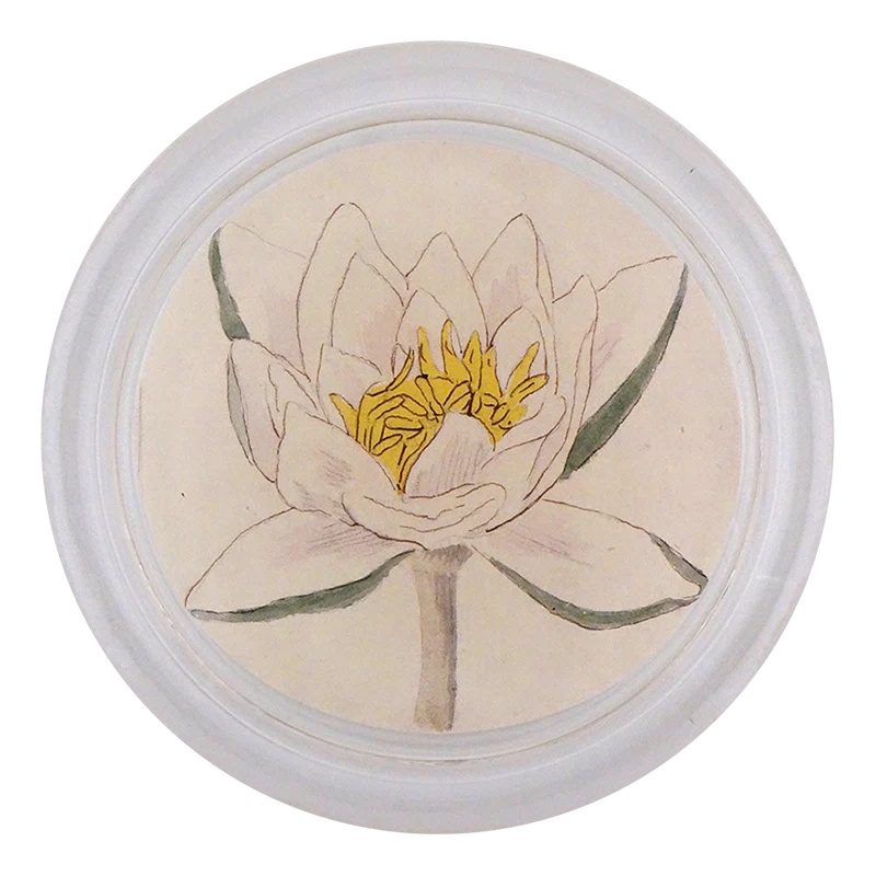 Water Lily 4” Coaster