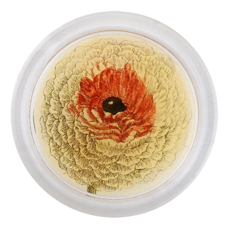 Ranunculus 850-C 4” Coaster