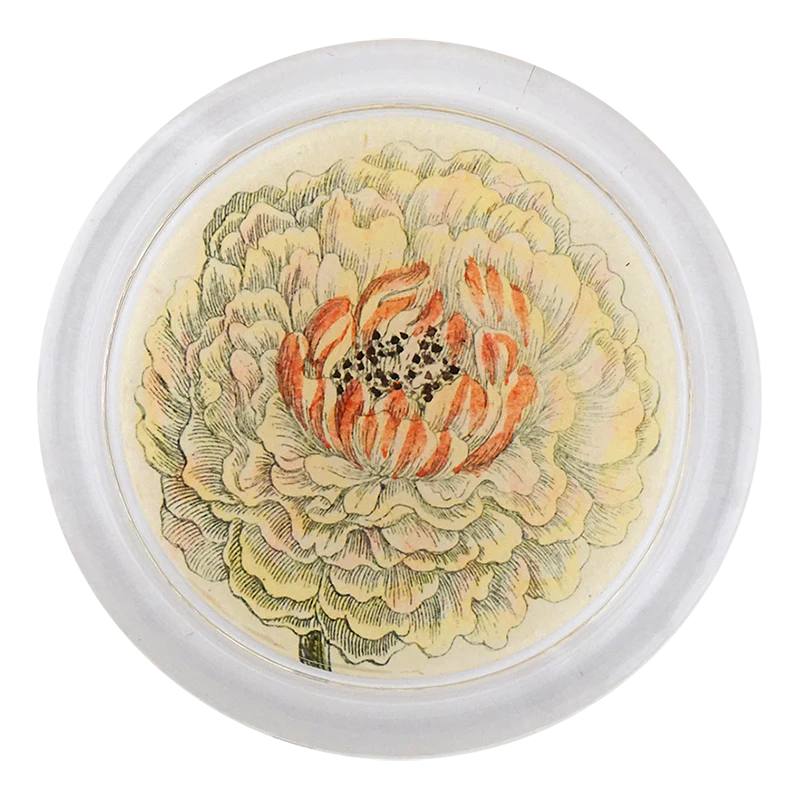 Ranunculus 851-D 4” Coaster