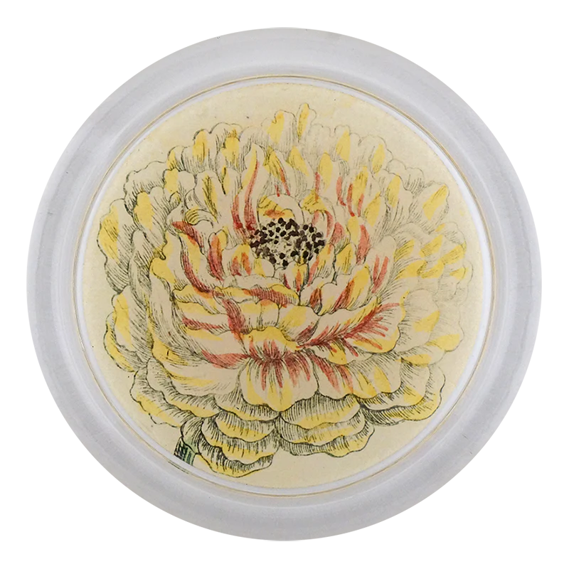Ranunculus 851-C 4” Coaster