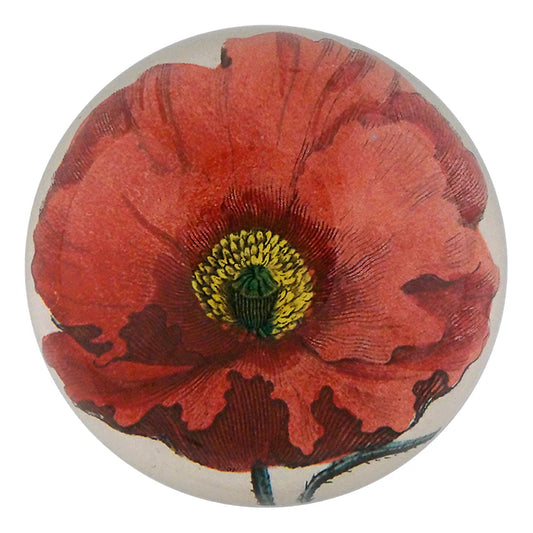 Garden Poppy Dome Paperweight