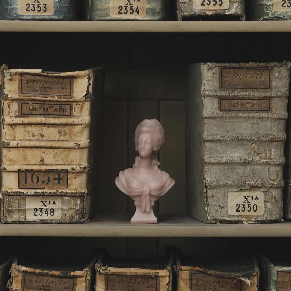 Marie-Antoinette Bust