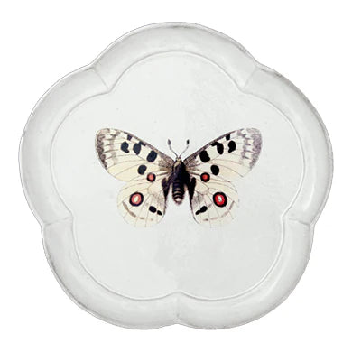 Apollo Butterfly Dinner Plate by Astier de Villatte