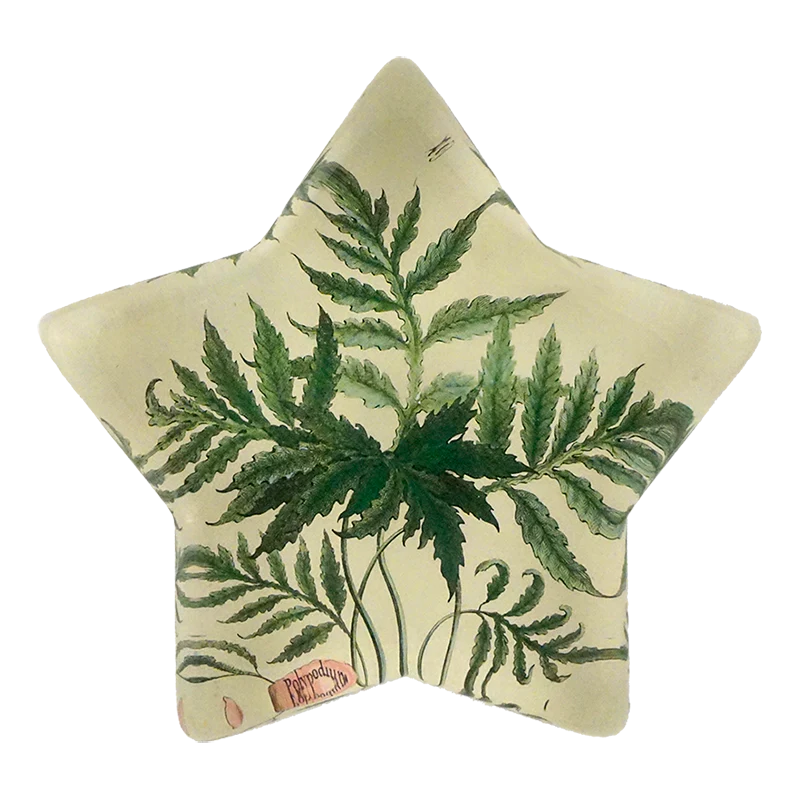 Leaf - Polypodium Sensibile Star Charm