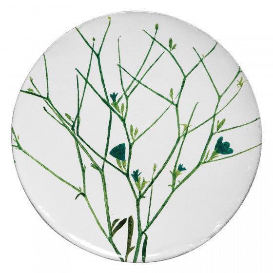 Medium Cichorium Plate
