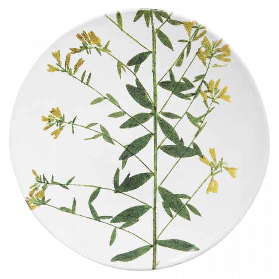 Medium Genista Plate