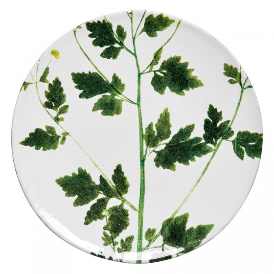 Medium Matricaria Plate