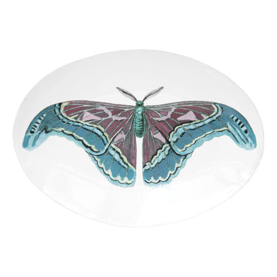 Oval Blue Butterfly Platter