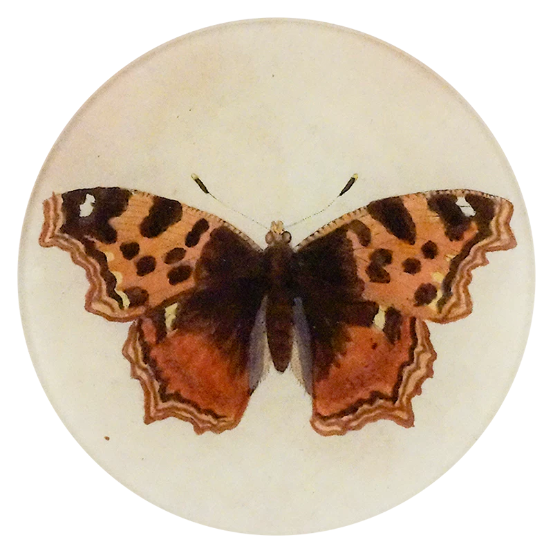 Papilio Round Plate