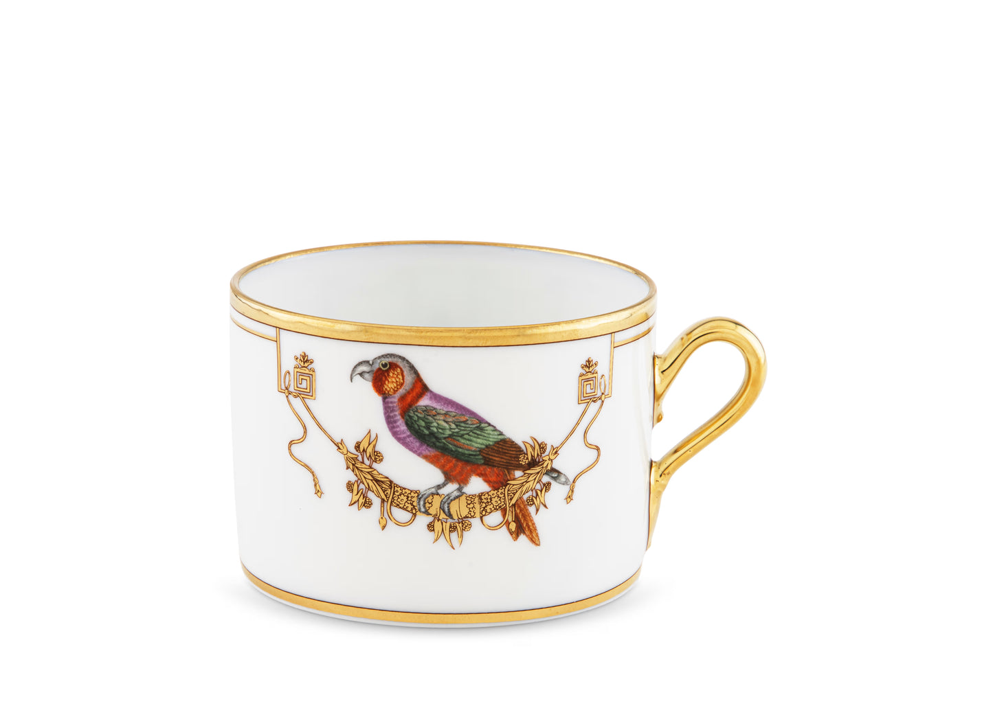 Volière Perroquet Nestor Teacup + Saucer by Ginori 1735