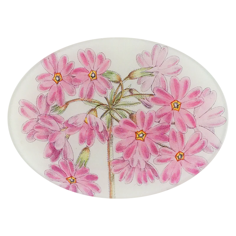Primula Veitchii Oval Plate