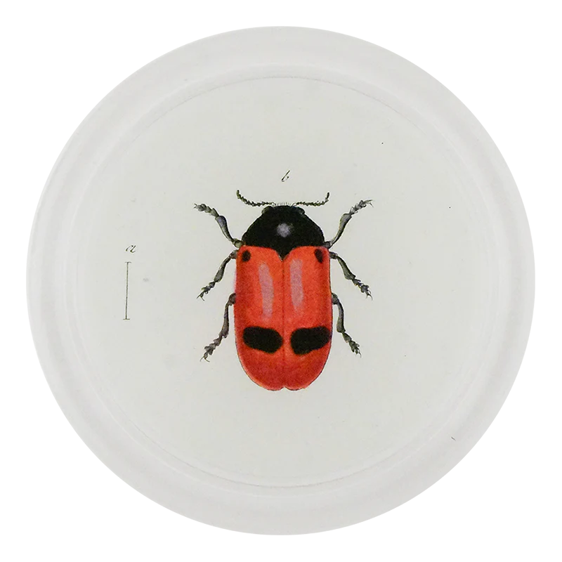 Red Ant Bag Beetle 4" Coaster