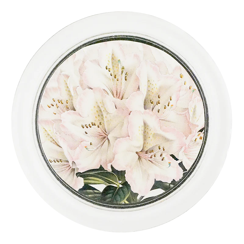 Rhododendron Madame Louis 4" Coaster