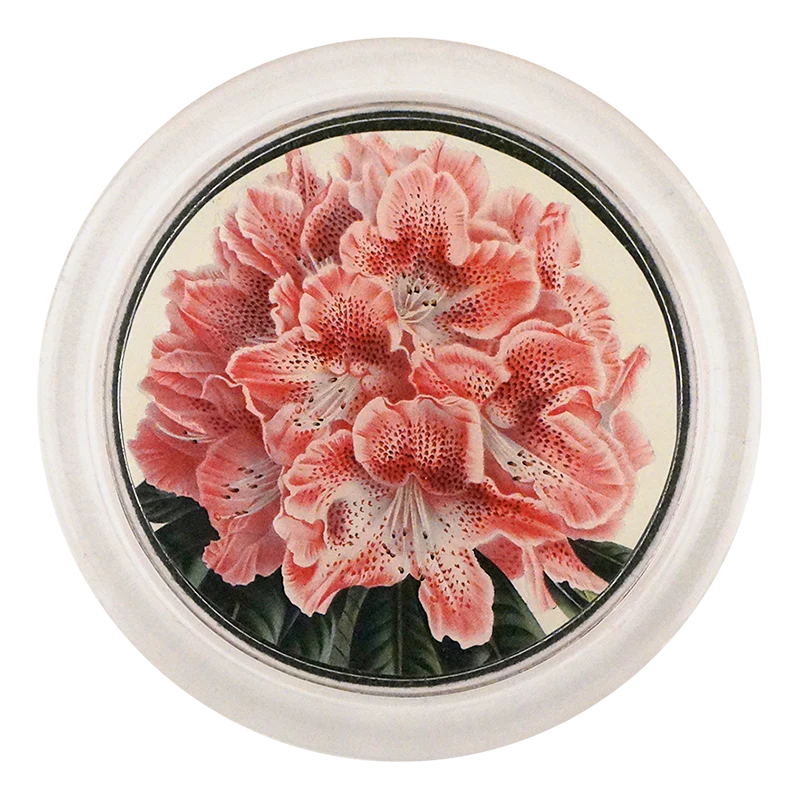 Rhododendron Ange Verveut 4" Coaster