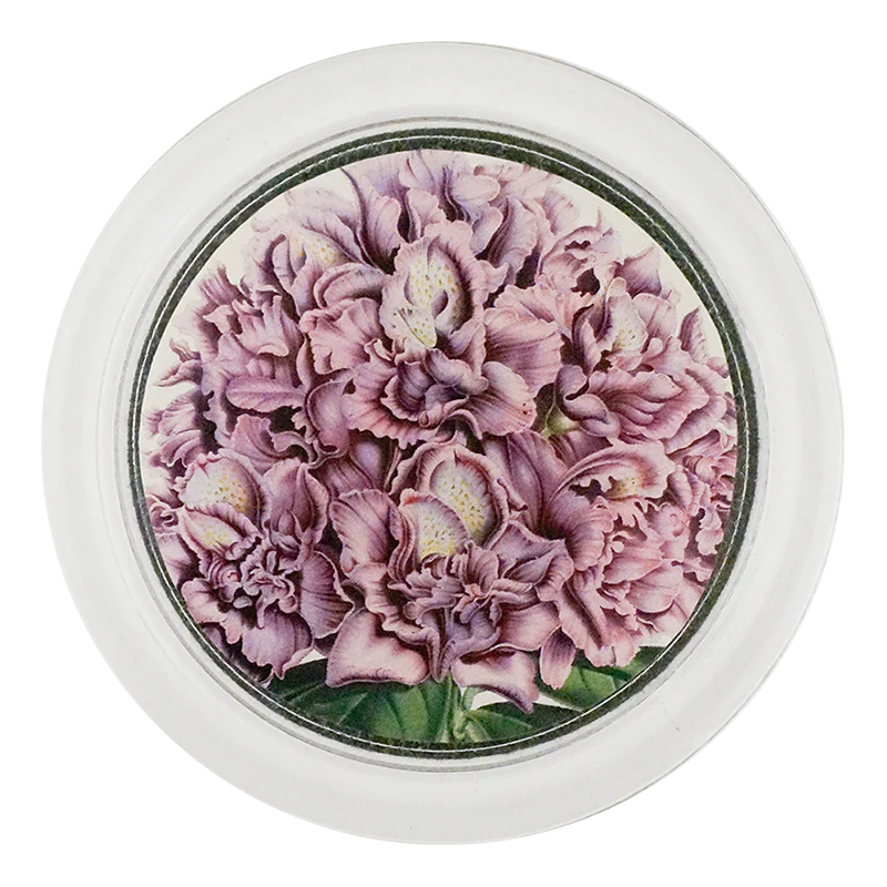 Rhododendron Fastuosum 4" Coaster