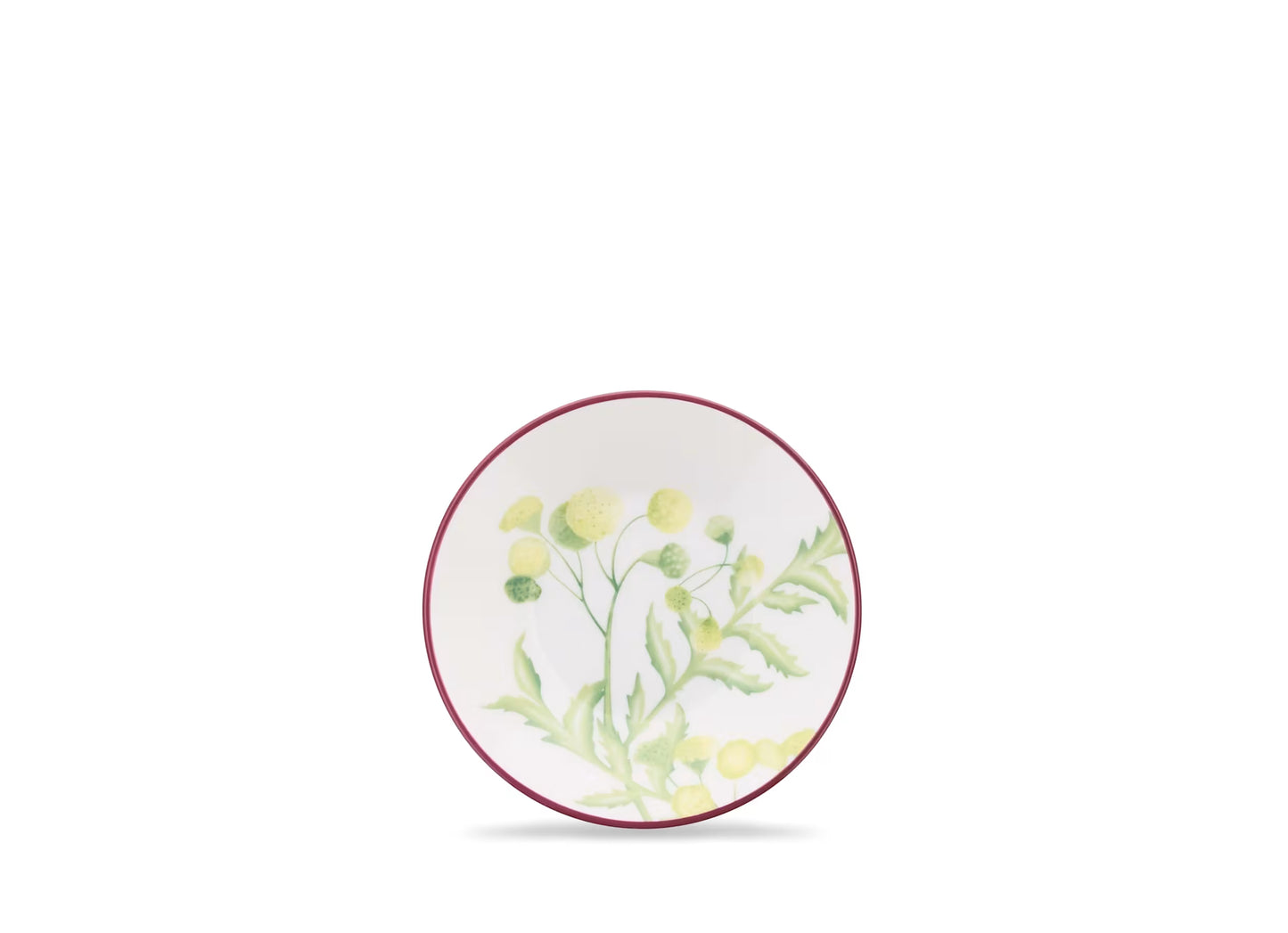 Florenza Acanto Espresso Cup and Saucer by Ginori 1735