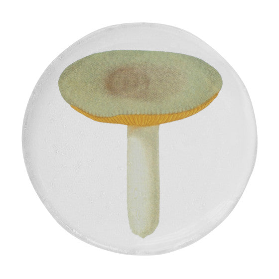 Small Agaric Sapid Plate