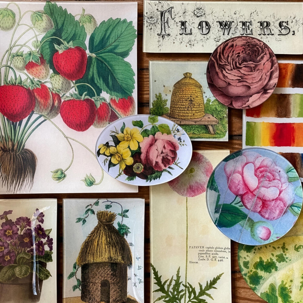 John Derian