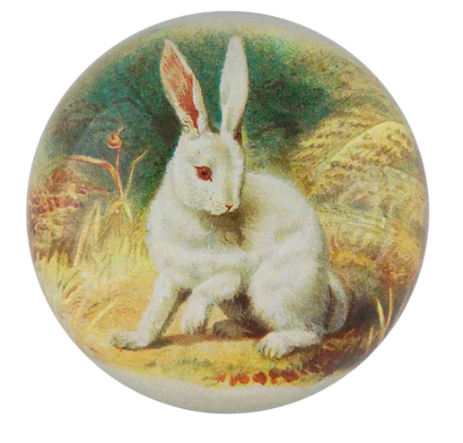 White Bunny Dome Paperweight