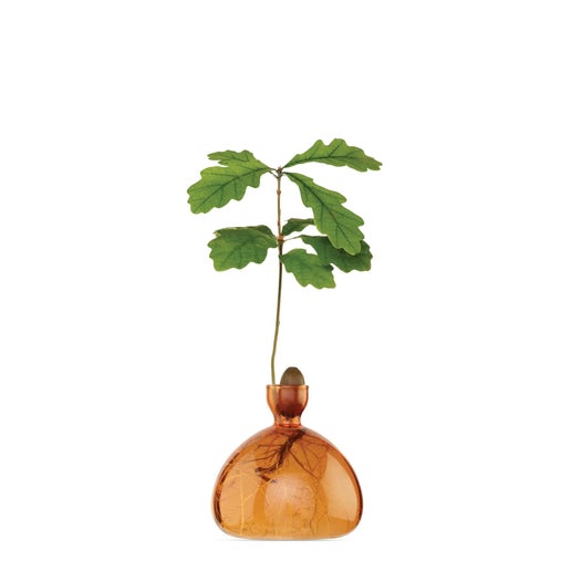 Acorn Vase Orange