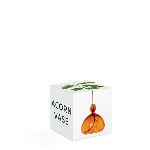 Acorn Vase Orange