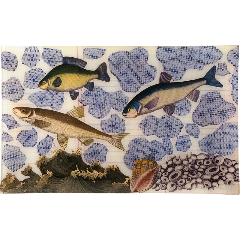 3 Fish Collage Tray