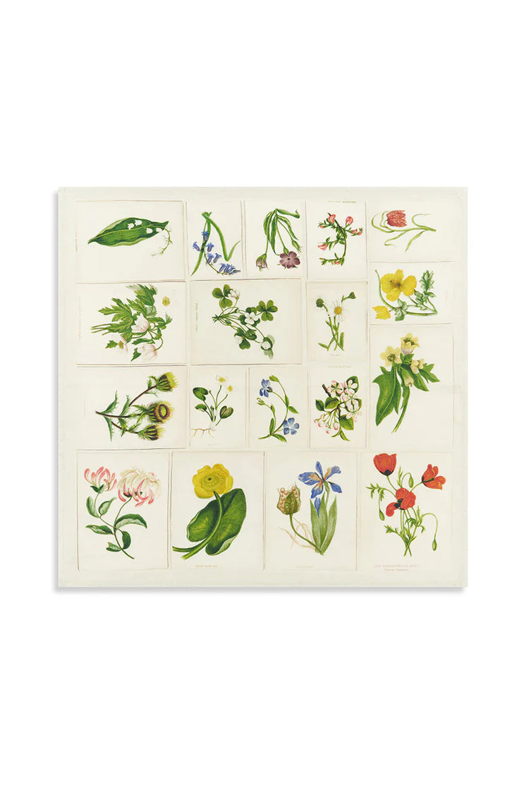 S&B x John Derian 'Botanical Tiles' Linen Napkins set of 6