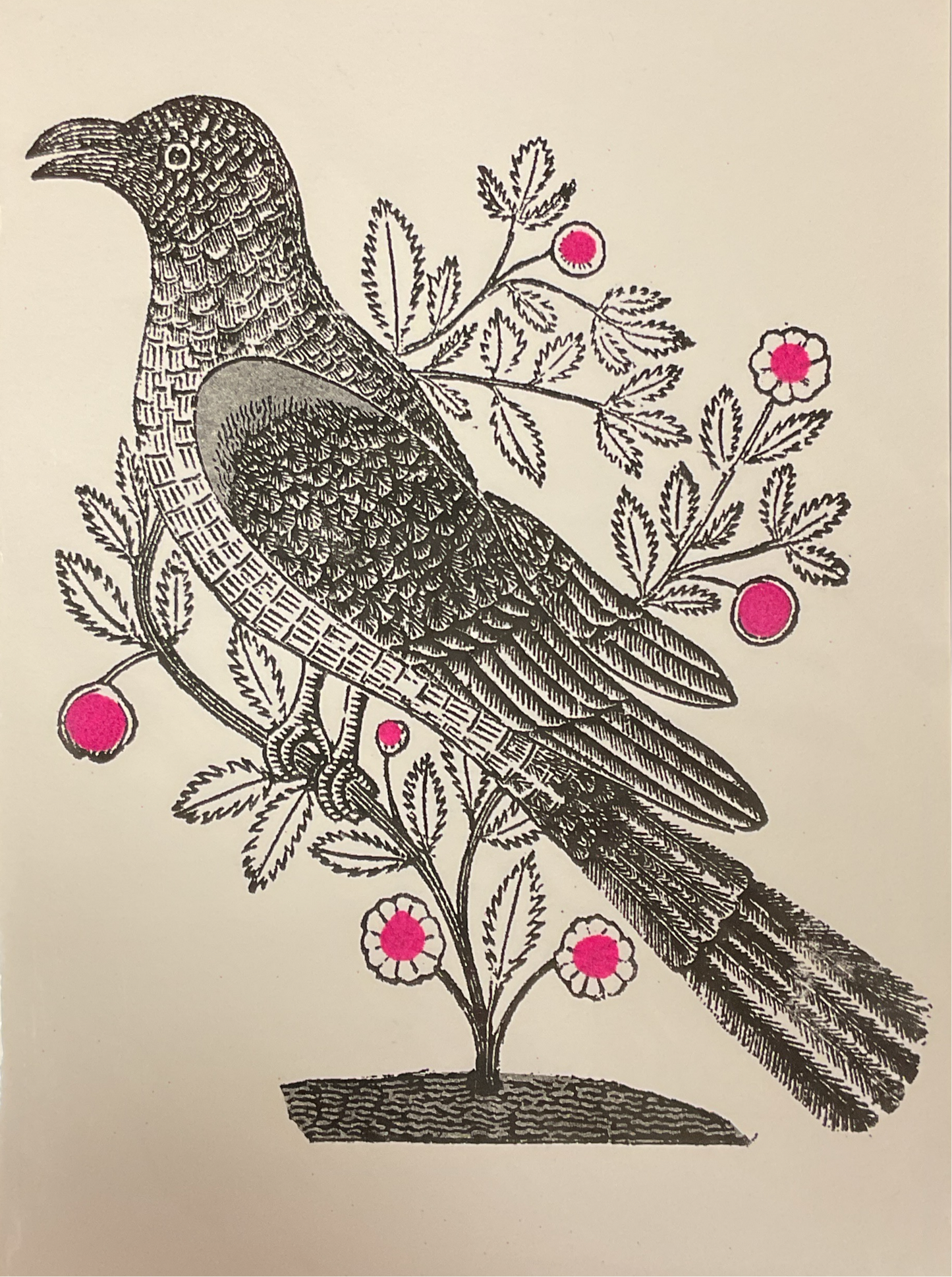 Garden Bird Art Print