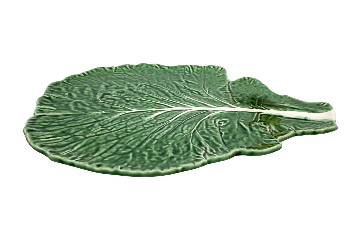 Cabbage Cheese Leaf