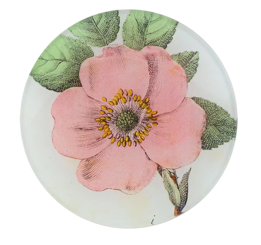 Rosa Canina 4" Round Plate