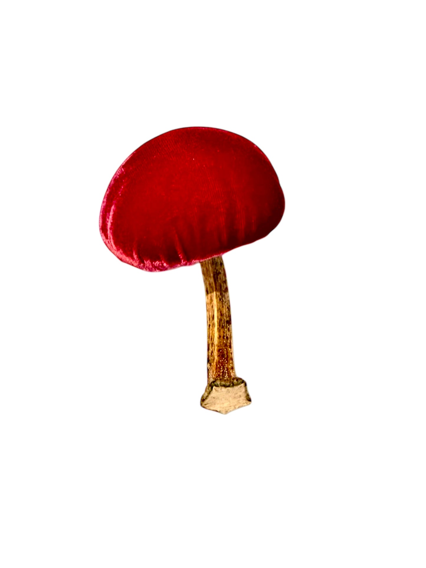 Velvet Mushroom in Magenta
