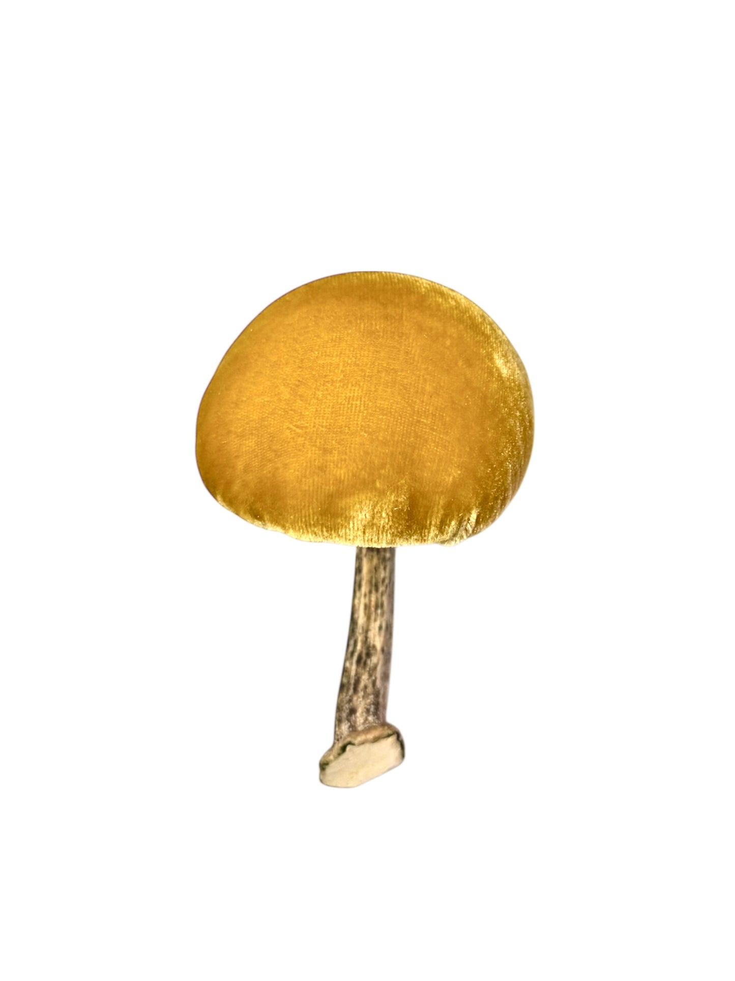 Velvet Mushroom in Yellow