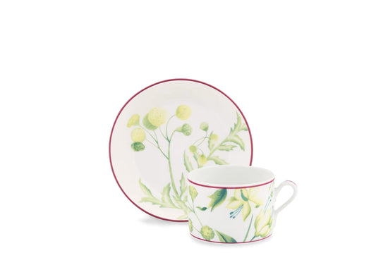 Florenza Acanto Tea Cup and Saucer by Ginori 1735