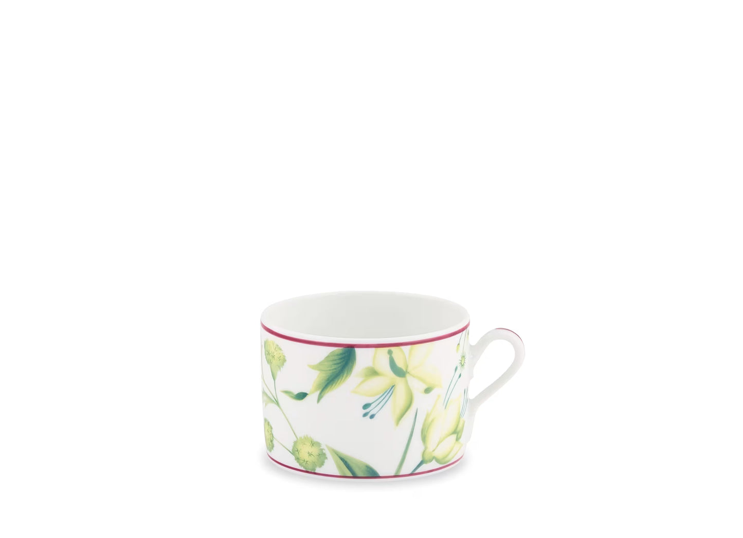 Florenza Acanto Tea Cup and Saucer by Ginori 1735